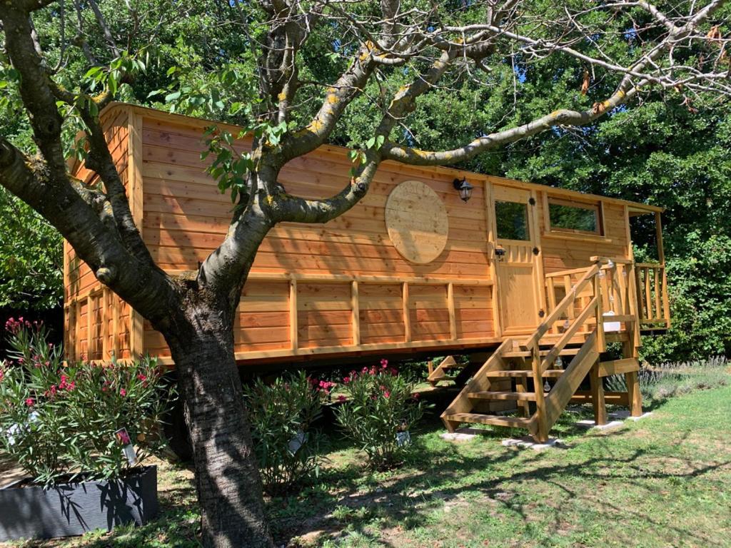 Ferienwohnung La Magnanerie Grillon Exterior foto